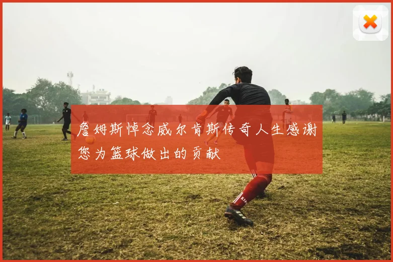 詹姆斯悼念威尔肯斯传奇人生感谢您为篮球做出的贡献